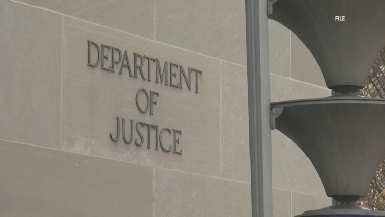 'Violent and inhumane' | Wilcox County man pleads guilty to 40 counts of dogfighting, DOJ says — Macon Real Estate news